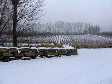 winter